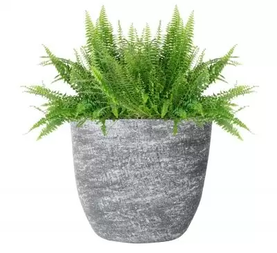 Planter karlijn l29b15h25 antraciet - afbeelding 2