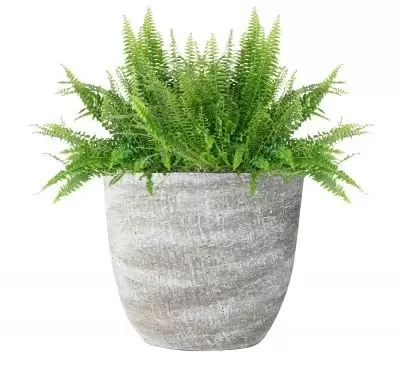 Planter karlijn l29b15h25cm earth - afbeelding 2