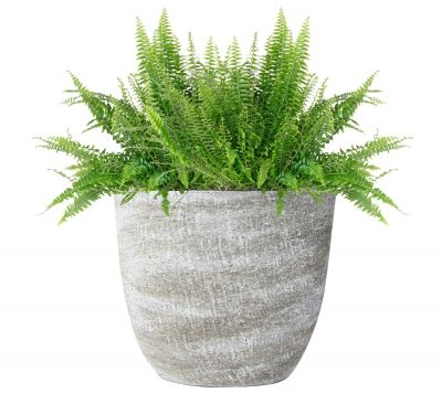 Planter karlijn l29b15h25cm earth - afbeelding 2