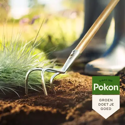 Pokon Bio bemeste tuincompost 40L - afbeelding 2
