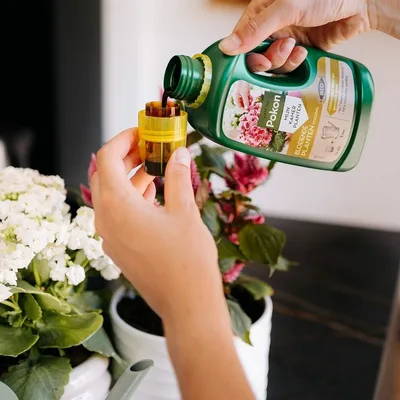 Pokon Bio Bloeiende Planten Voeding 500ml - afbeelding 2