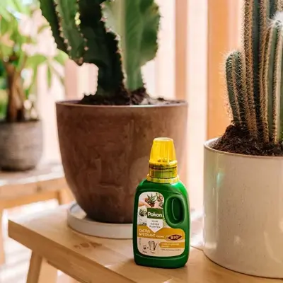 Pokon Bio Cactus & Vetplant Voeding 250ml - afbeelding 3
