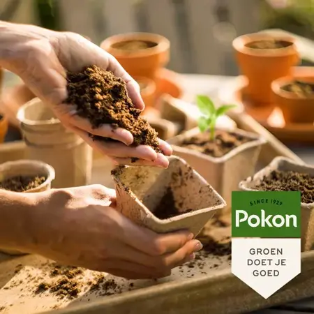 Pokon stekpoeder 25g - afbeelding 2