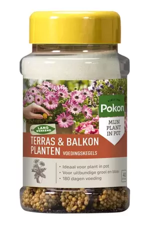 Pokon Terras & Balkon Planten Voedingskegels 40st - afbeelding 1