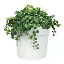 Pot b.for original d16cm wit - afbeelding 2