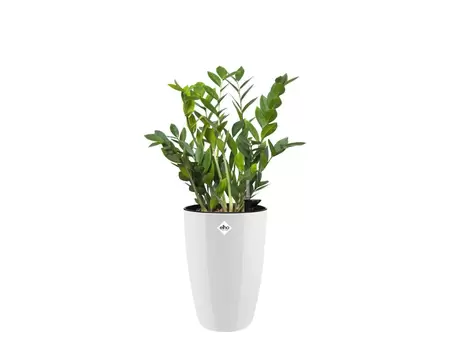 Pot brussels diam ro h d22cm wit - afbeelding 2