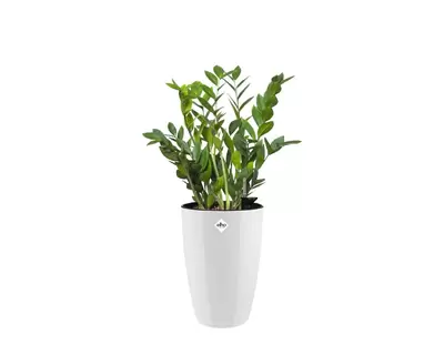 Pot brussels diam ro h d22cm wit - afbeelding 2