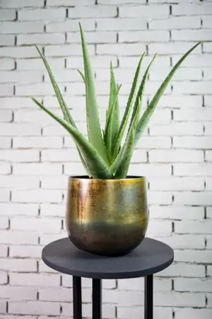 Pot elisa d46h38cm vintage groen - afbeelding 2