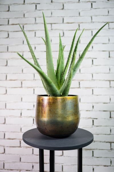 Pot elisa d46h38cm vintage groen - afbeelding 2