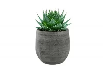Pot esra d15h13cm mystic grey - afbeelding 2