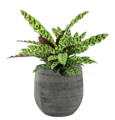 Pot esra d22h20cm mystic grey - afbeelding 4
