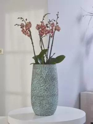 Pot evi d32h29cm antique bronze - afbeelding 3