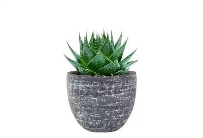 Pot karlijn d15h13cm antraciet - afbeelding 2