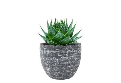 Pot karlijn d15h13cm antraciet - afbeelding 2