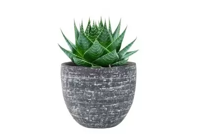 Pot karlijn d18h16cm antraciet - afbeelding 2