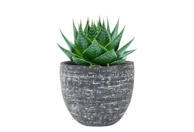 Pot karlijn d18h16cm antraciet - afbeelding 2