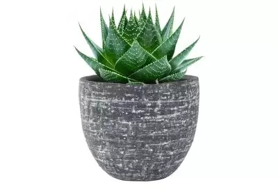 Pot karlijn d22h20cm antraciet - afbeelding 2