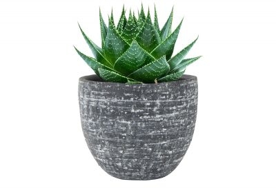 Pot karlijn d22h20cm antraciet - afbeelding 2