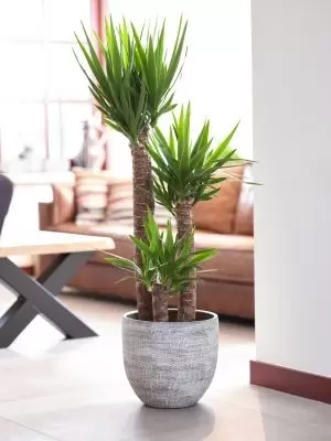 Pot karlijn d35h32cm earth - afbeelding 2