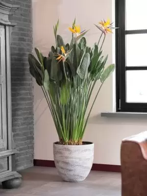 Pot karlijn d46h42cm earth - afbeelding 2