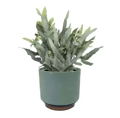 Pot suze d10h11cm blauw - afbeelding 2