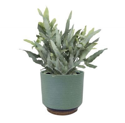 Pot suze d10h11cm blauw - afbeelding 2