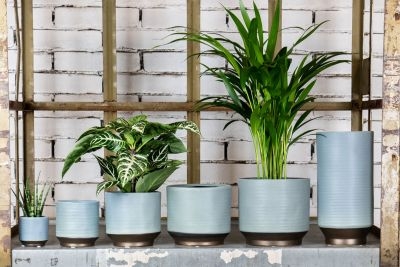 Pot suze d13h13cm blauw - afbeelding 2