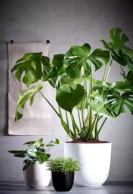 Pot tusca d10h9cm zwart mat - afbeelding 3