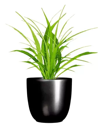 Pot tusca d19.5h18.5cm antrct glans - afbeelding 3