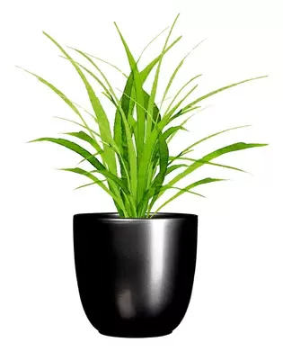 Pot tusca d19.5h18.5cm antrct glans - afbeelding 3