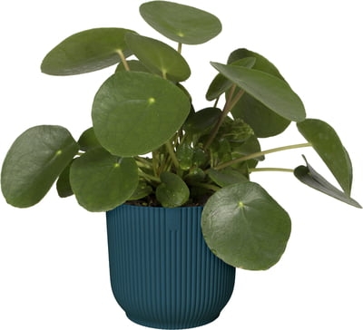 Pot vibes fold d22cm diepblauw - afbeelding 2