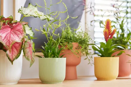 Pot vibes fold d9cm sorbet groen - afbeelding 4