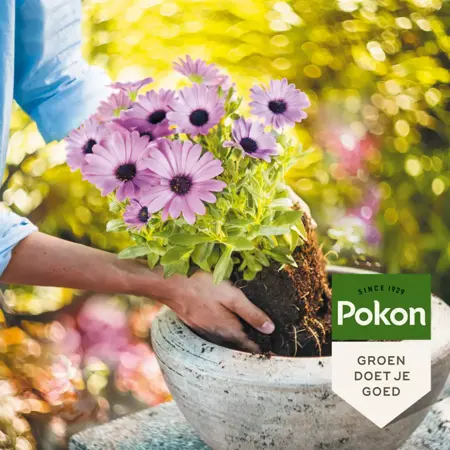 Potgrond Langwerkend 20L - afbeelding 2