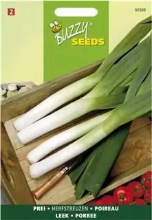 Prei herfstreus 2 2.5g - afbeelding 1