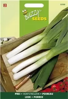 Prei herfstreus 2 2.5g - afbeelding 2