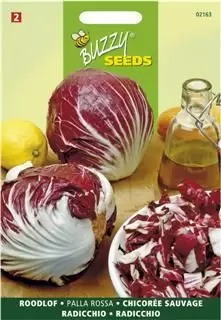 Radicchio rosso di chioggia 3g - afbeelding 1