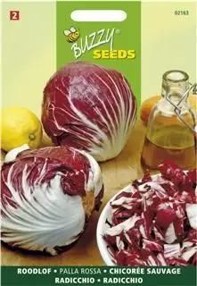 Radicchio rosso di chioggia 3g - afbeelding 3