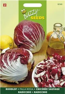 Radicchio rosso di chioggia 3g - afbeelding 4