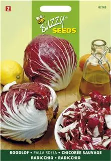 Radicchio rosso di chioggia 3g - afbeelding 2