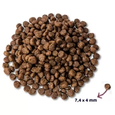 Renske Droog puppy vers kip&lam 2kg - afbeelding 2