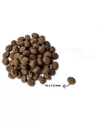 Renske Droog senior graanvrij vrs kalk 2kg - afbeelding 2