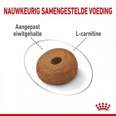 Royal Canin hondenvoer Light Weight Care Maxi 3 kg - afbeelding 2
