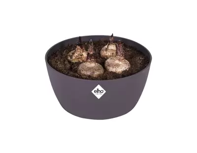 Schaal brussels d23cm antraciet - afbeelding 2