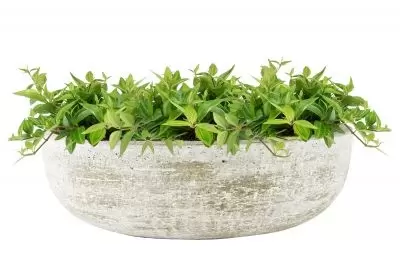 Schaal karlijn d38h11cm earth - afbeelding 2