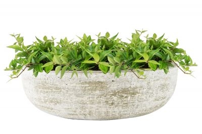 Schaal karlijn d38h11cm earth - afbeelding 2