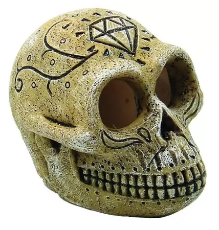 Skull monkey