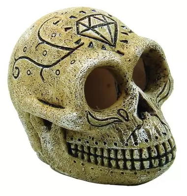 Skull monkey