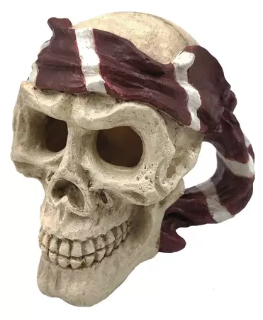 Skull red pirate