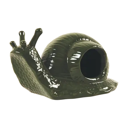 Slakkenval l11b18h11cm - afbeelding 1