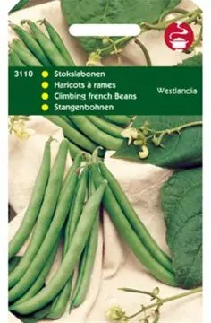 Stokslaboon westlands dubbele 100g - afbeelding 4
